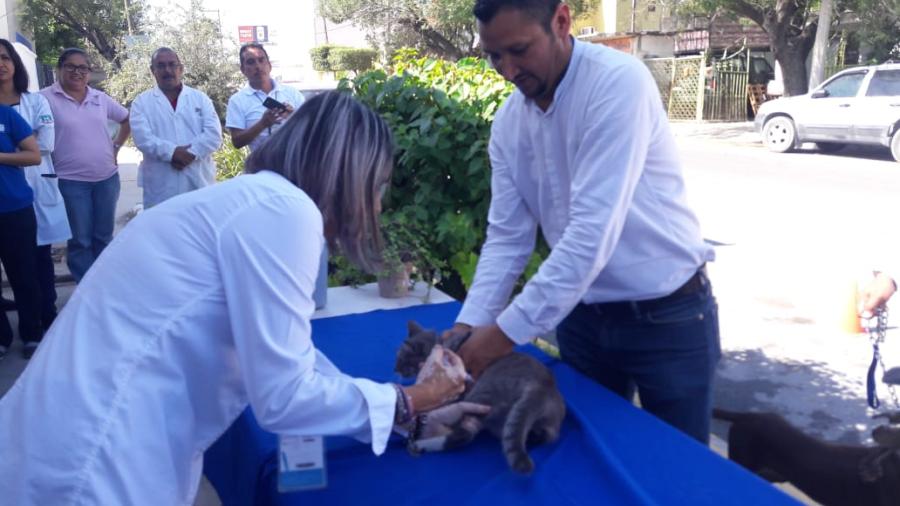 Convoca Secretaría de Salud a aplicar vacuna contra la rabia a mascotas