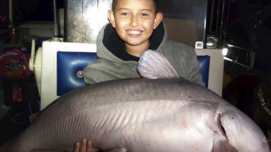 Niño pesca un pez gato de 19 kilos
