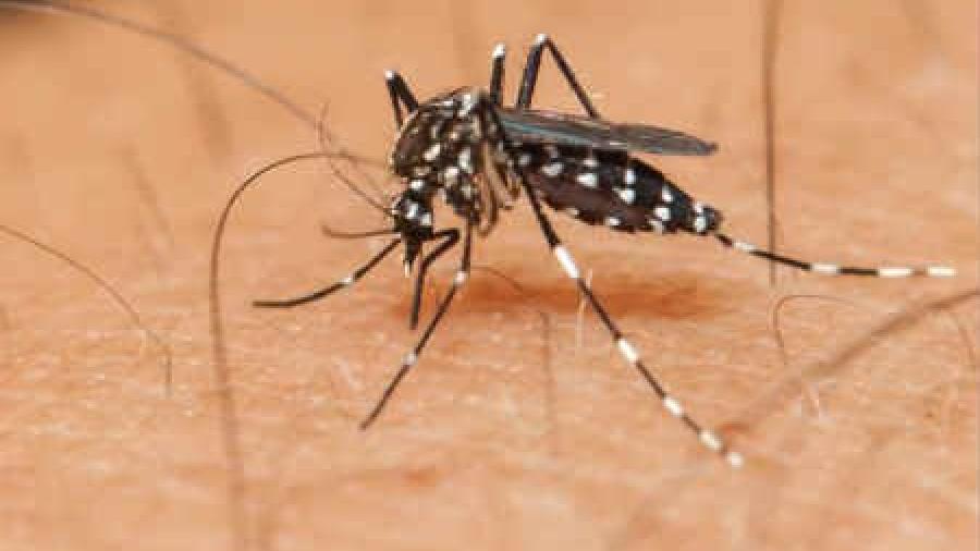 Registran primer caso de zika por transmisión sexual