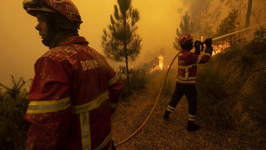 Logra apagar voraz incendio forestal en Portugal 