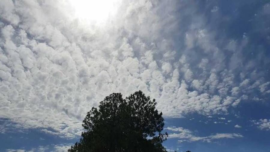 Conoce el pronóstico del clima de este domingo en Tamaulipas