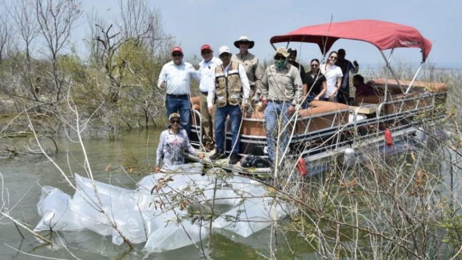 Siembran lobinas en la presa Vicente Guerrero para impulsar la pesca deportiva