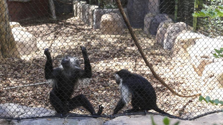 Zoo Gladys Porter anuncia nuevos horarios