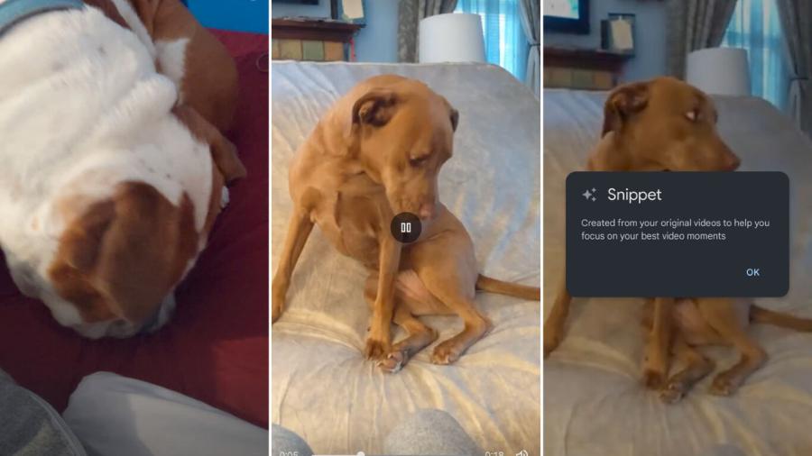 Google Fotos ahora recomienda "tus mejores momentos"