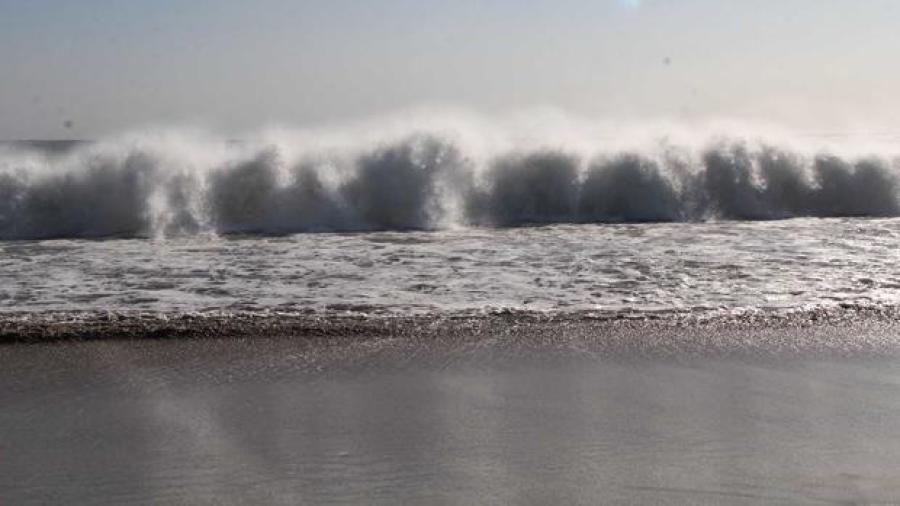 Tsunami llegó 15 minutos después del sismo: Jorge Zavala 