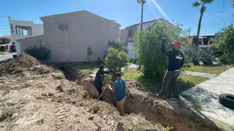 Por fin inicio construcción de barda del CAM