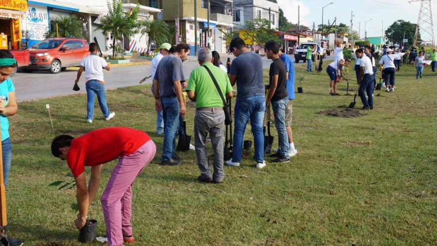 Reforesta Ayuntamiento áreas verdes de la Carmen Romano