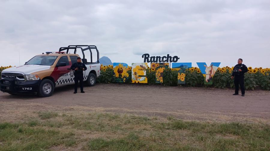 Guardia Estatal mantiene vigilancia en Campo de Girasoles 