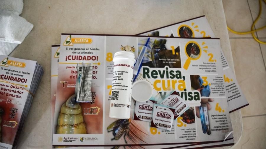 Productores tamaulipecos se suman a la prevención del gusano barrenador