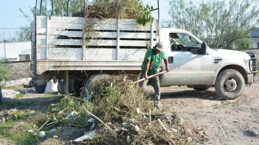 Busca Ayuntamiento descacharrizar colonias