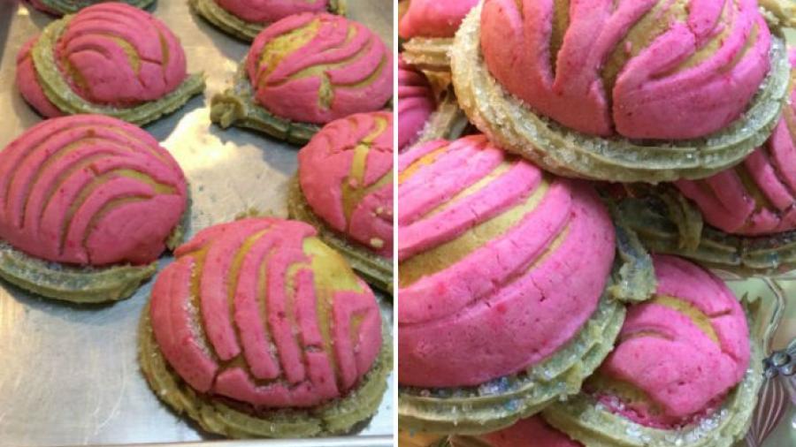 Continúa la "fiebre" por las conchas, ¡llegan las conchurras!