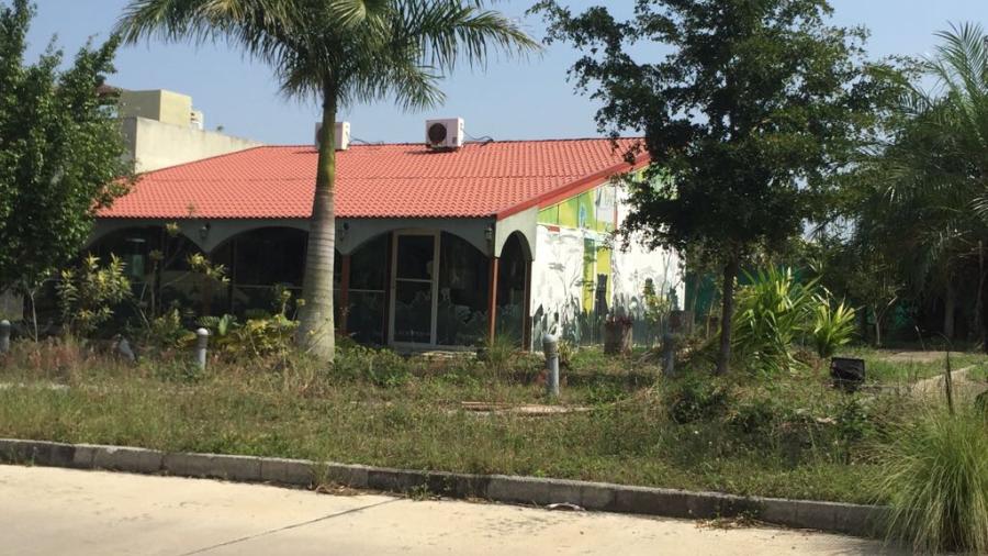 Casas abandonadas, problemas de salud por ser criaderos de moscos