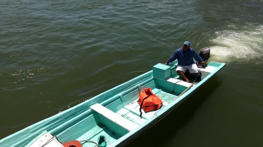 Muelle que se desplomó no se había revisado reconoce la autoridad