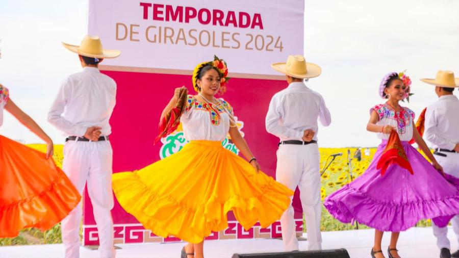 Respalda Gobierno de Tamaulipas promoción de campos de girasoles