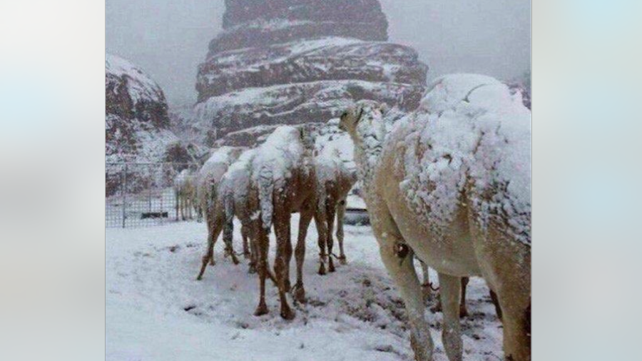¡Cae nieve en Arabia Saudita!