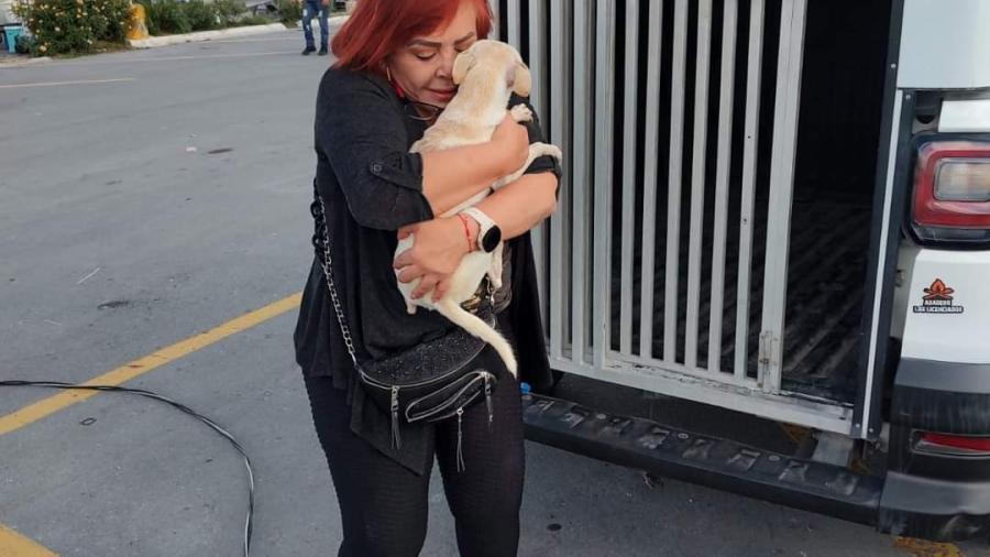 Invita Alcalde Carlos Peña a adoptar mascotas