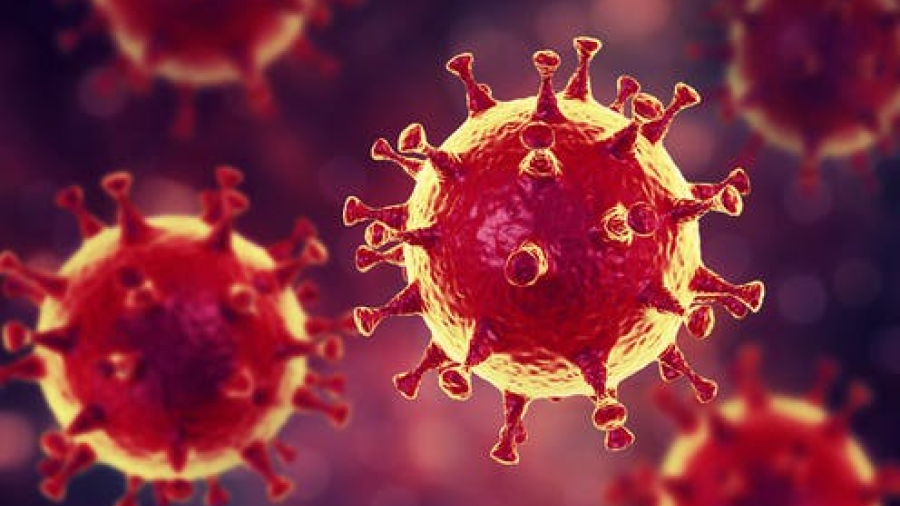 Se confirma segunda víctima en el estado por coronavirus 