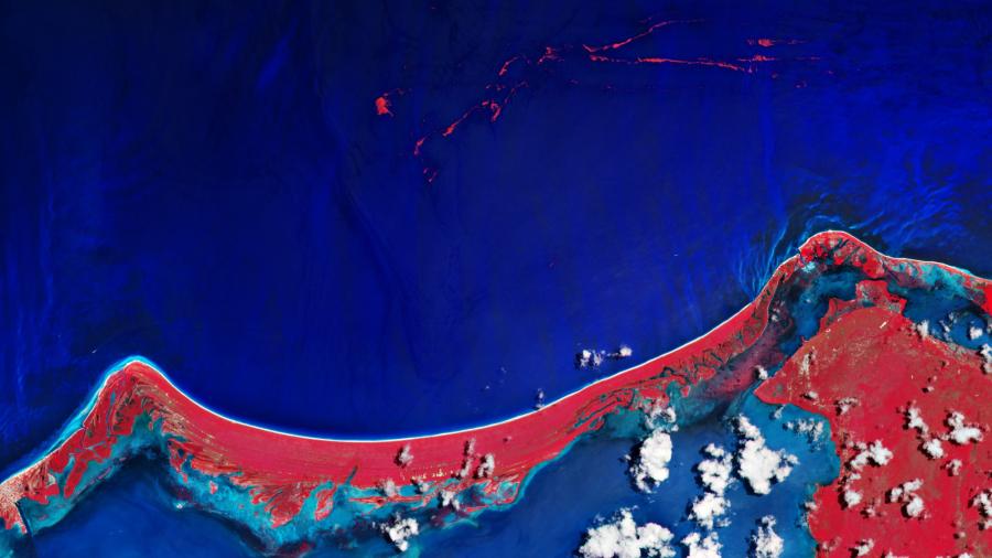 Comparten imagen del sargazo en Quintana Roo tomada desde el espacio