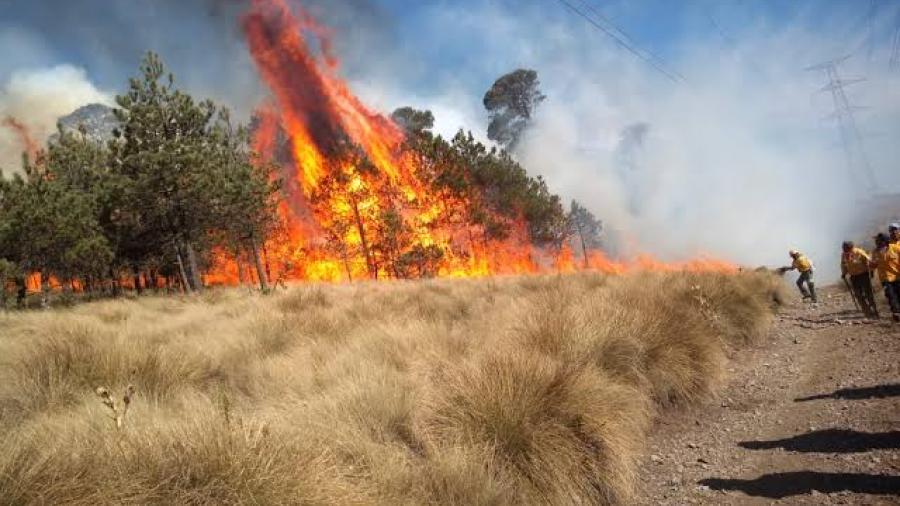 116 incendios activos en el pais, son 4 victimas hasta el momento: AMLO