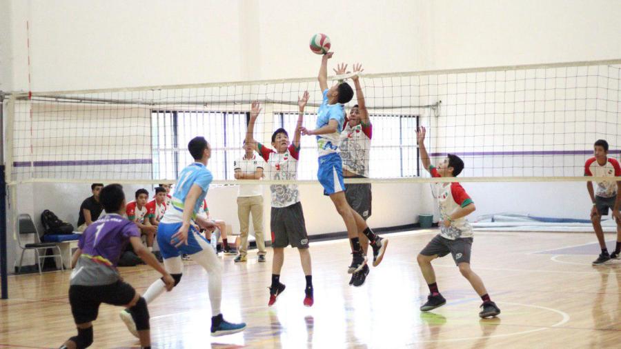 Selección de Voleibol consigue su pase a la Olimpiada Nacional 