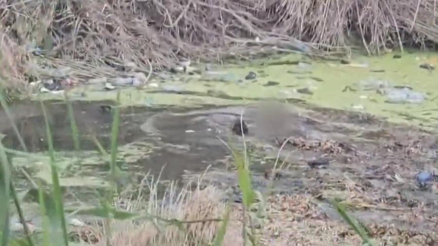 Mueren ahogados dos jóvenes migrantes en el Río Bravo