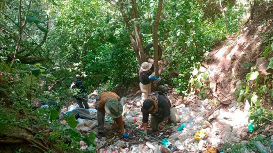 Hallan al menos 45 osamentas en una barranca en Michoacán
