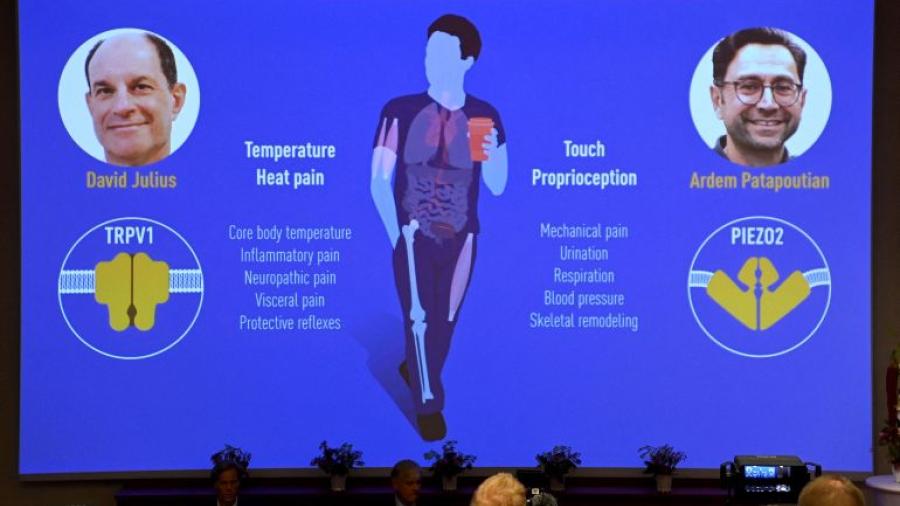 El Nobel de Medicina 2021 es otorgado a David Julius y Ardem Patapoutian