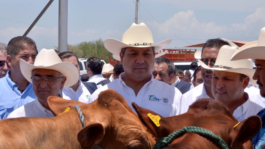 Entregan ganado bovino a productores pecuarios