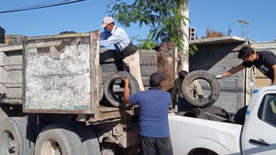 Recolectará Municipio cacharros de Lomas de Valle Alto