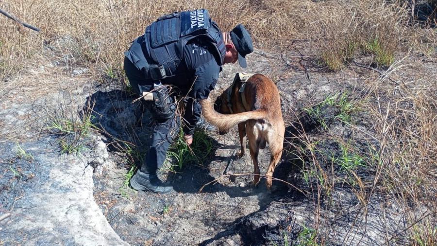 Agrupamientos Policiales de la Guardia Estatal amplían su alcance con operativos que impactan a miles de tamaulipecos