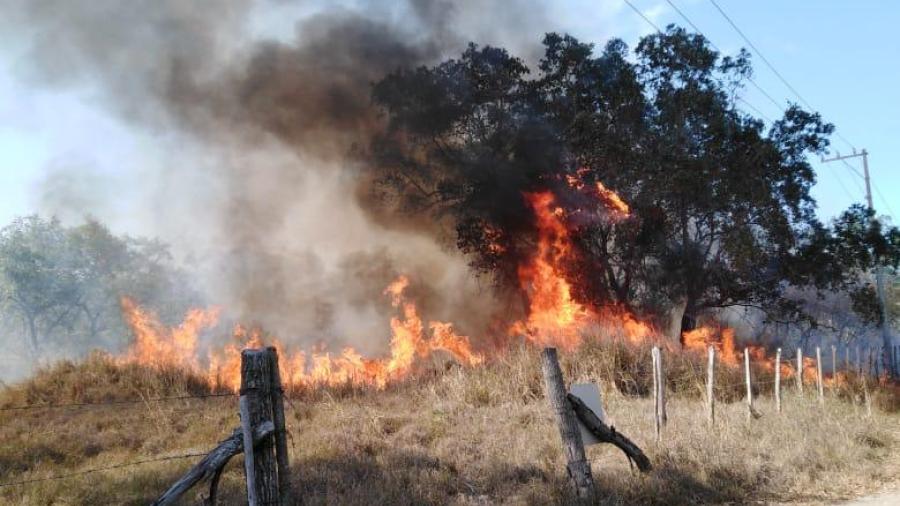Con la temporada de calor y la falta de lluvias, aumentan los incendios de pastizales en la región.