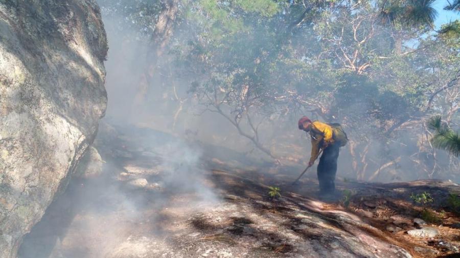 Protección Civil Tamaulipas y CONAFOR extinguen incendio forestal en San Carlos