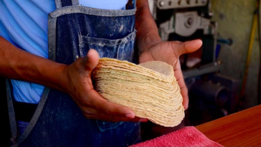 Se descontrola precio de la tortilla, con picos de hasta 19 pesos por kilo