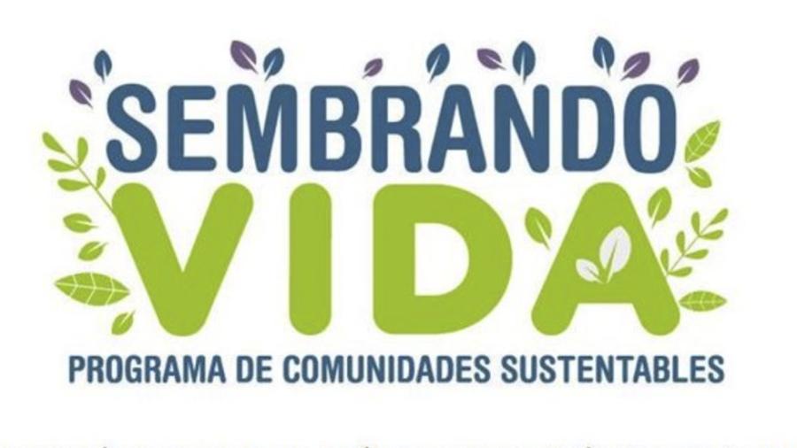 Buscan impulsar creación de 20 mil empleos con “Sembrando Vida” en Sinaloa