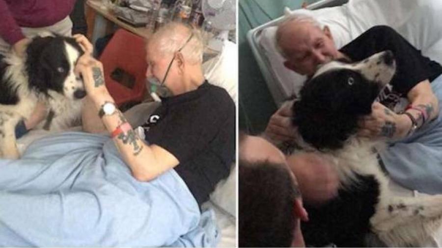 Abuelito se despide de su perro antes de morir