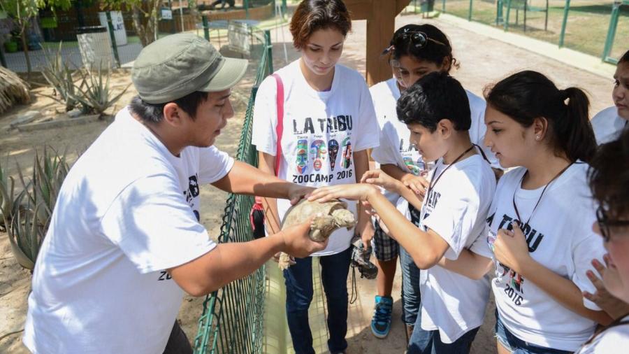 Centro de Rehabilitacion Integral de Nuevo Laredo realizará campamento de verano “Un día en el zoologico”  