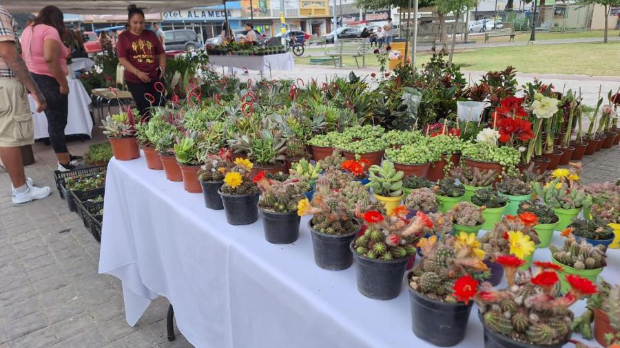 Ofrecerán artesanías para el jardín