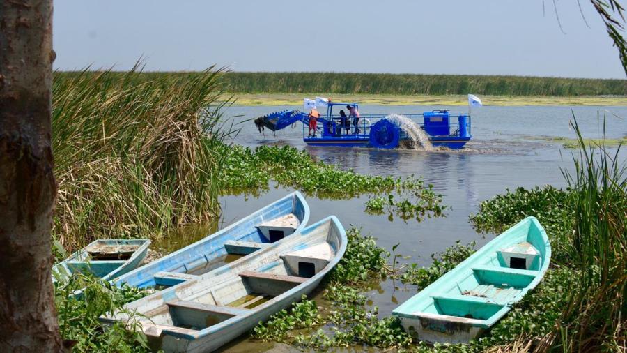 Inicia programa de limpieza de la laguna de Champayán