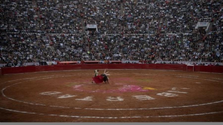 Jueza ordena la suspensión inmediata de corridas de toros en la Plaza México