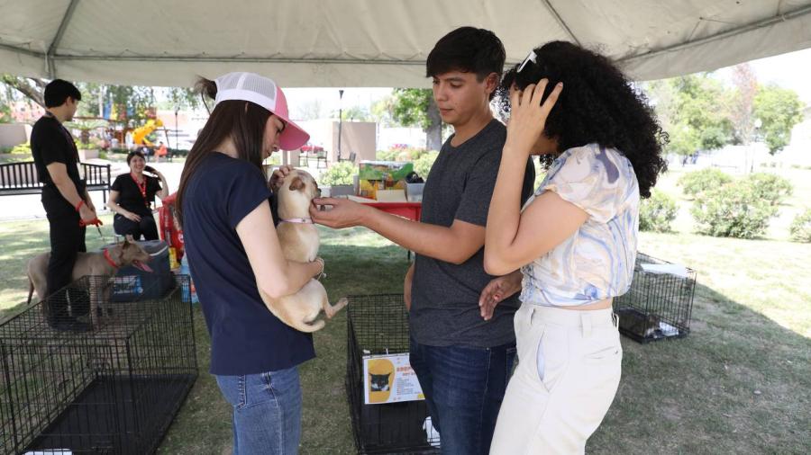 Brindan hogar a mascotas rescatadas con feria de adopción 
