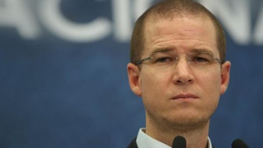 Considera Anaya peligrosa realizar amnist&iacute;a