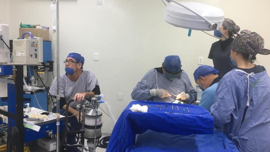 DIF Altamira continúa con la campaña “Vivir Sonriendo”