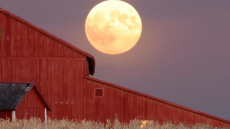 Este viernes llegará la “Luna de Cosecha”