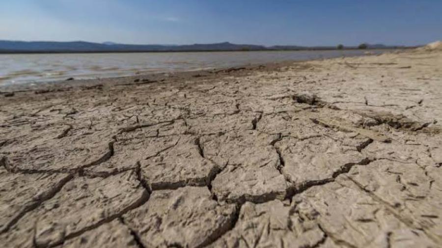 75% del territorio tamaulipeco se encuentra en Sequía