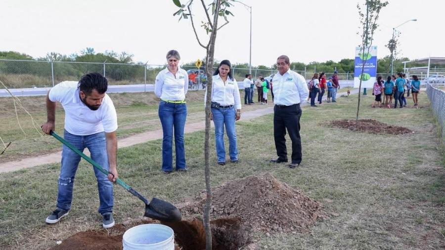 Celebrarán día nacional del árbol en Nuevo Laredo