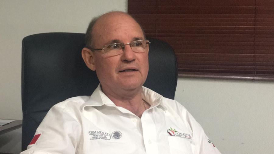 Buscan evaluar edad de árboles en Jaumave y Ocampo