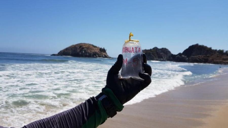 ¡Cuidado! Estas son las 6 playas de México que no son aptas para vacaciones de Semana Santa