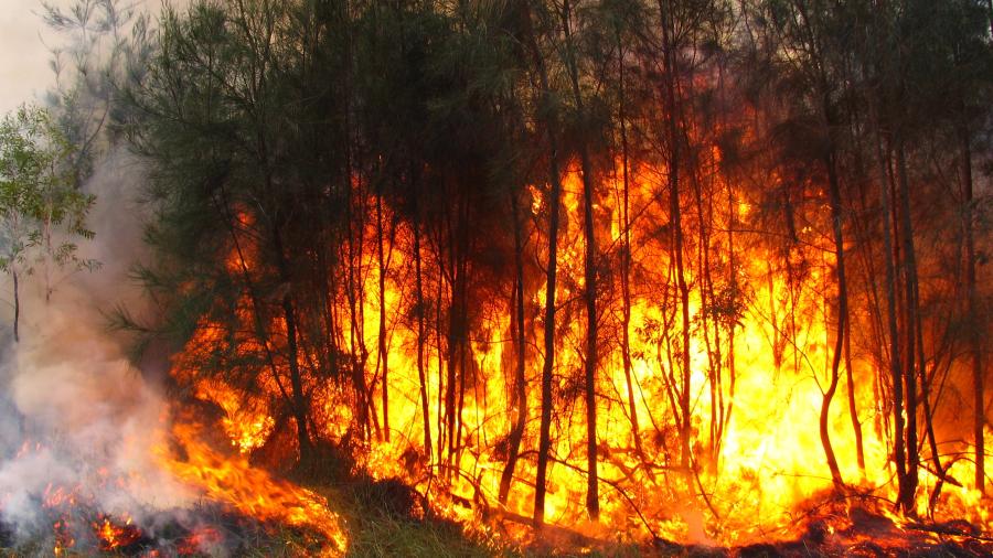 Cambio climático podría empeorar incendios forestales