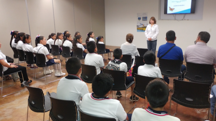 Ruta Migratoria de mariposa Monarca es mejorada 