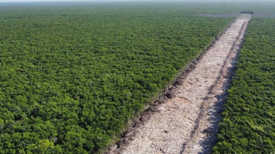 Gobierno declara al Tren Maya "Proyecto de seguridad nacional"